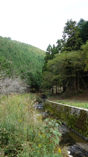 DSC05604.JPG
