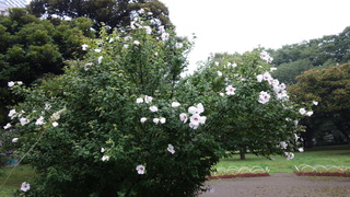 DSC07235.JPG
