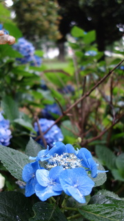 DSC07249.JPG