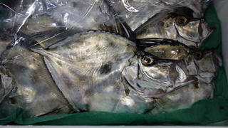 DSC07301.JPG