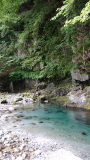 DSC07335.JPG