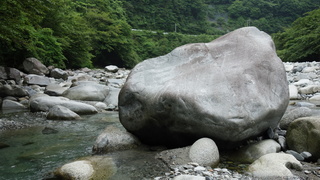 DSC07347.JPG