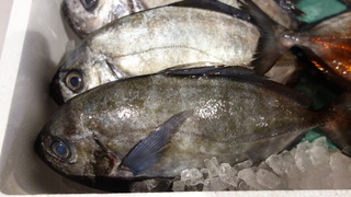 DSC07372.JPG