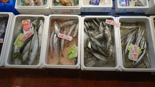 DSC07397.JPG