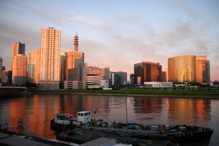 IMG_4009.JPG