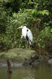 1P4A8671.JPG