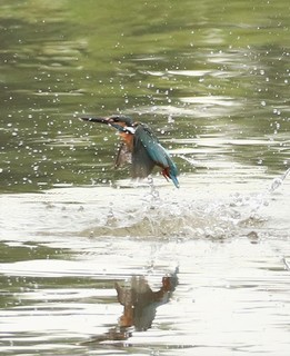 4X0A3075 (3).JPG
