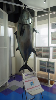 DSC00030.JPG
