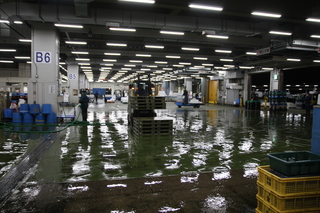 IMG_0853.JPG