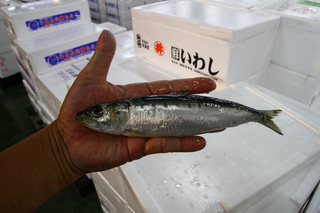LRK_1718.JPG